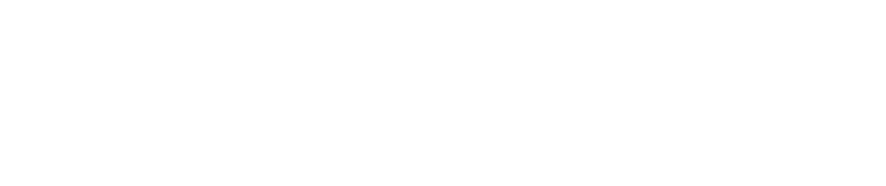 White Norman Mittman Law Logo